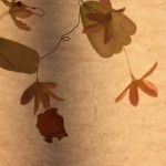 renatas flowers