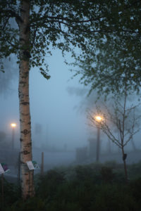 2010 04 Mai_8