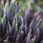 2010 29 Apr_6999_bearbeitet-1