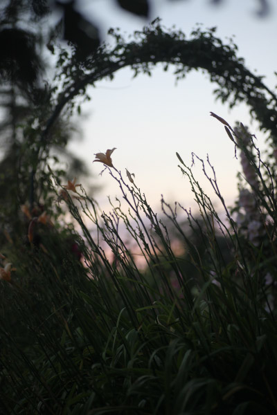 2010 31 Jul_2619