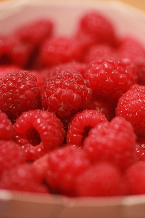 Raspberries_0455_