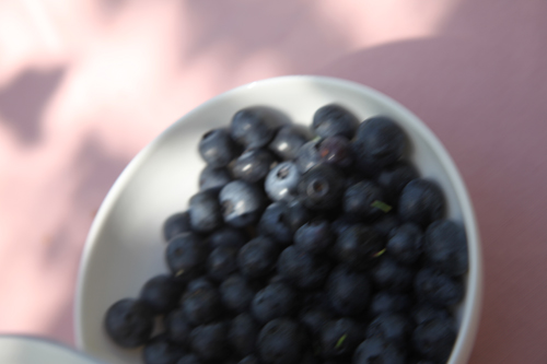 Blueberries_2011 23 Aug_7595_